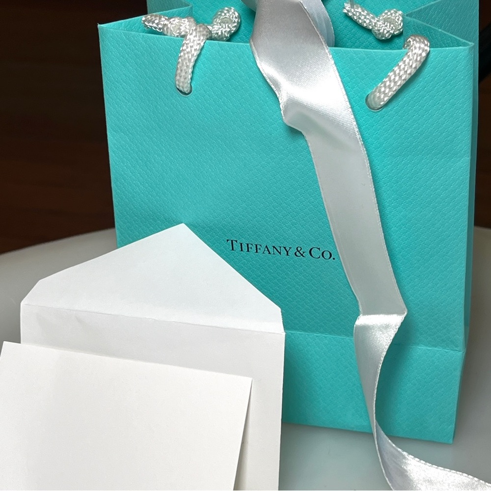 TIFFANY & CO gift bag with ribbon and embossed gift card